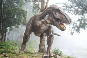 8 Surprising Real Dinosaur Sounds - Journal of Astrological Big Data Ecology