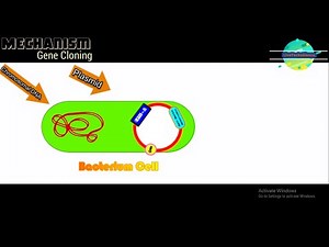 Gene Cloning and Plasmid Vector - Animated video | LiveTechScience