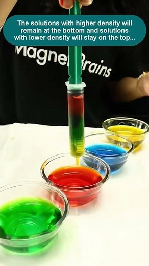 Sugar Water Rainbow - Water Density Experiment! #Shorts #Magnetbrains #Scienceexperiment