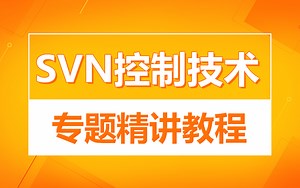 最新版完整SVN视频教程-SVN视频教程入门到精通