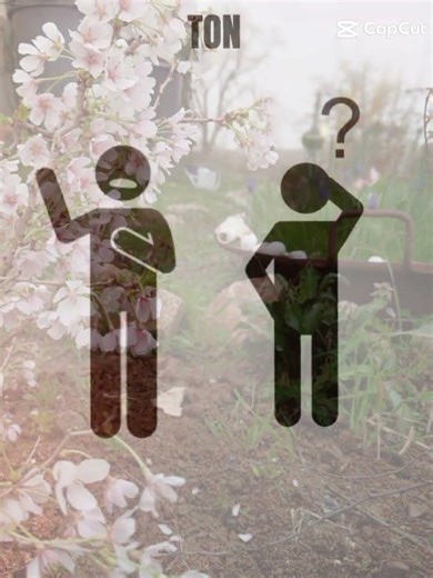 L'hypersensibilité 🫂🖤 #sensible #hypersensible #sensibilité #hypersensibilité