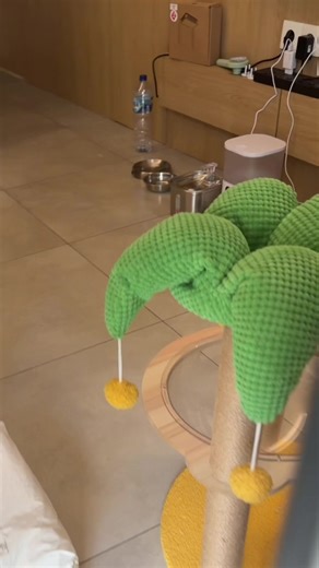 Adorable Cat Moments That Melt Your Heart