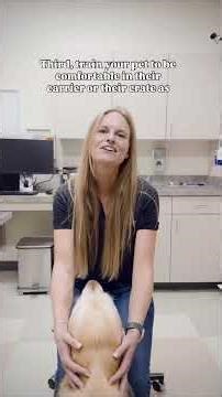 Disaster Preparedness for Pets