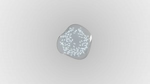 Building intelligent cell-inspired microrobots