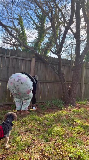 Transform Your Home with Dimunt Solar Lights