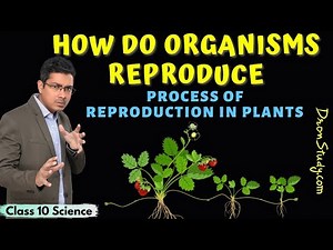 Process of Reproduction in Plants | How Do Organisms Reproduce Class 10 Science | CBSE | NCERT