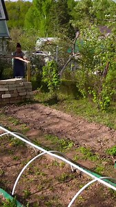 Practical Greenhouse Idea 😍 | 5-Minute Crafts Green