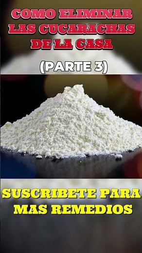 Cómo Eliminar las Cucarachas de la Casa para Siempre 🐜 Remedios Naturales que Sí Funcionan - Parte 3