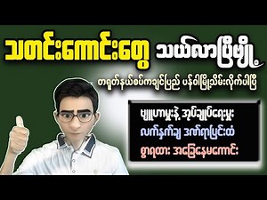 Myanmar EXPERT Shares Hidden Secrets of the Country