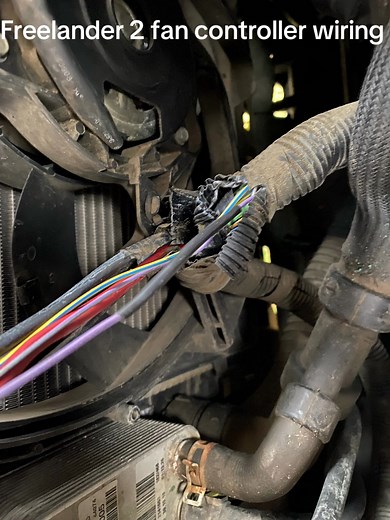 Freelander 2 wiring fault This customer got in touch with an overheating issue, we carried out an inspection, coolant level was good, head gasket sniff test carried out. Diagnostic inspection revealed the electric fan was at fault. After investigation we found the fan controller signal wire had corroded, still had continuity but when load tested it confirmed a fault, traced back an found the corroded area. Wiring repaired and protected, all tested and another vehicle back on the road as it shoul