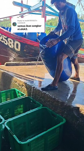 Hasil Laut Pantai Remis Perak on TikTok