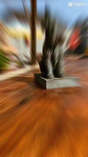 1.2K views | The Lion and The Lamb Gosforth - Voted Gosforth’s Best Pub by Steve Cottrell  | Cumbria Guide | Facebook