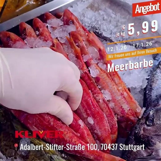 🐟 FRISCHE MEERBARBE aus dem Mittelmeer!