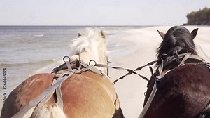 Drivers point of view of horses pulling a wagon along the seashore