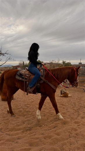 mel on Instagram: "The Year of the Horse represents freedom, momentum, and trusting your instincts. It’s a season of movement. Of choosing courage over comfort, following what feels alive. Let yourself be carried by faith and let your inner strength guide the way forward. #yearofthehorse #2026 #newyear #explorepage #horsebackriding"
