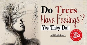 Study Says, Trees Have Feelings And Communicate With Each Other Too