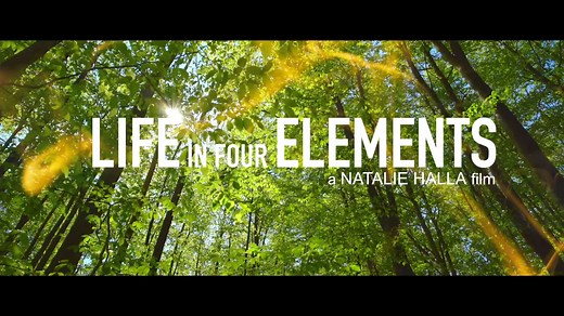 LIFE IN FOUR ELEMENTS