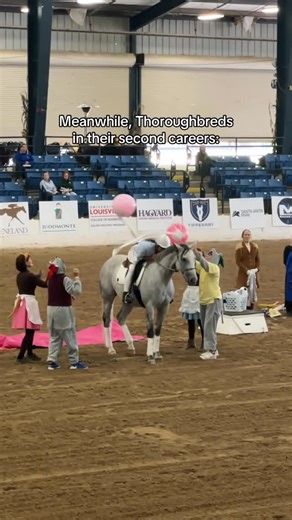 America's Best Racing on Instagram: "Their story doesn’t end when racing does. ❤️ This week’s Thoroughbred Makeover at the Kentucky Horse Park (Oct. 8–11) showcases retired racehorses stepping into new disciplines. Tackling everything from barrel racing to dressage, polo, freestyle (shown here), and much more! Every horse competing only began training for their second career within the last year — proof of just how versatile and willing these incredible athletes are! #ottb #aftercare #thoroughbr