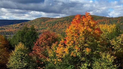 The best place in MA for fall foliage? Reader's Digest picked this Berkshire town