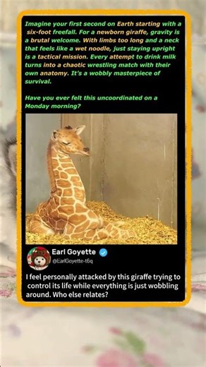 Why This Baby Giraffe Can’t Control Its NECK! 🦒 #Nature #Funny #Wildlife