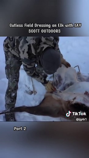 "Gutless Field Dressing an Elk with JAY SCOTT OUTDOORS#ElkHunting #Hun...