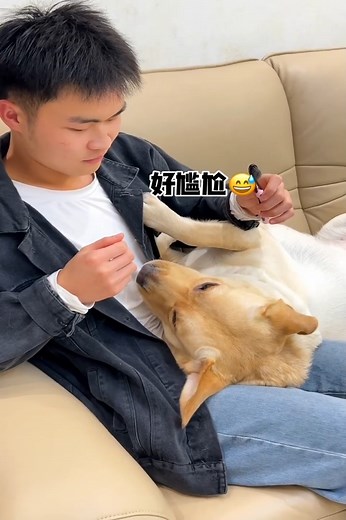 Dog You are so disgusting🤣🤣#dog #funnyvideos #smart | KiKi SMD