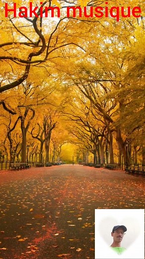 #music#hakim#