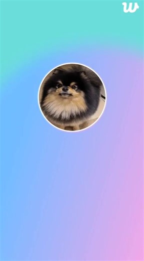 Taehyung talking about the BTS FANCAFE he visited recently!  So I...