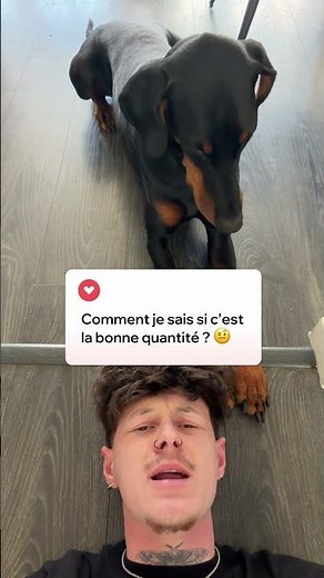 What is Dog Chef??? 😮