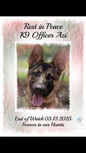 266K views · 10K reactions | The Blue Voice on Reels | Facebook