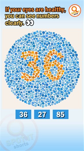 #013 👉 Eye Challenge 👀 Can You Spot the Hidden Number? | Color Vision Puzzle