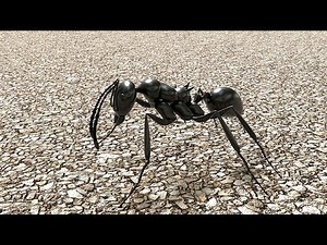 Tuto Blender En Français Pour Débutant Modélisation D'une Fourmi