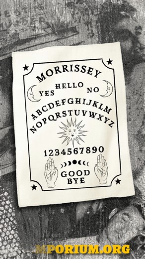 142 reactions · 3 comments | Morrissey Official on Reels | Facebook