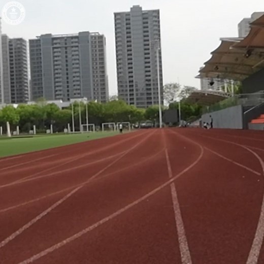 34K views · 325 reactions | Fastest 100 m by a quadrupedal robot -...