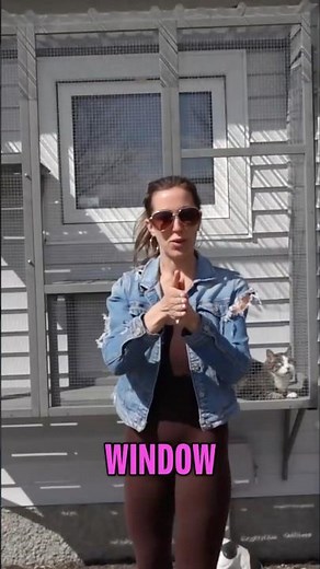 DIY Catio for Happy Indoor Cats 🐱☀️ #catshorts