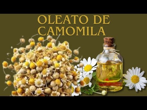 Como fazer um Oleato de camomila