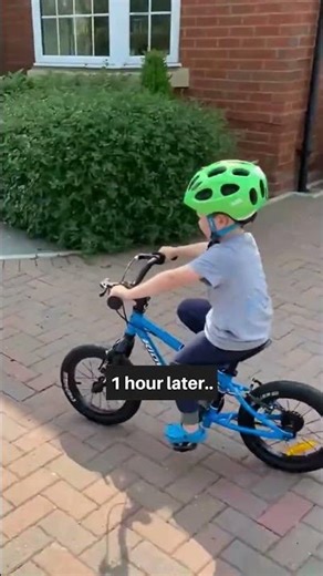 Convert Kidvelo Balance To Pedal Bike