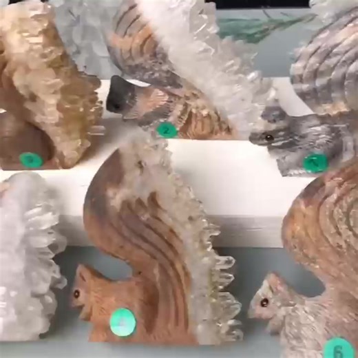 Order Now👉https://www.mytrendyvibes.com/collections/squirrel-collection #squirrel #squirrellove #squirrelsquad #fernthesquirrel #animal #newyork #squirrels #unitedstates #virals #viralpost #foryou #foryoupage #squirrelwhisperer #squirrelwatching #viralreels #fernthesquirrel #squirrelsquad #squirrellove #animal #WakeUpAmerica #squirrels #viral #viralvideo #animelover #squirrel #petz | I love Squirrel