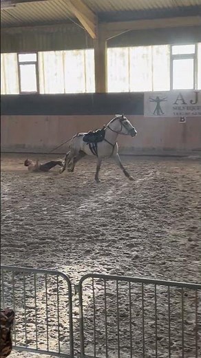 Horse Show Stunt Rider Performs Planned Fall