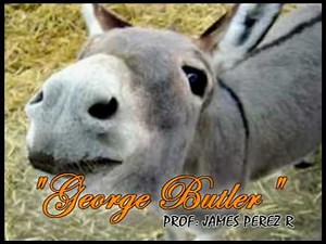 sonidos de los animales