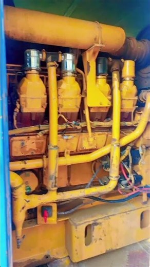 cat generator diagnosis