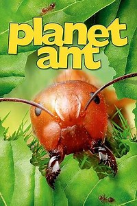 Planet Ant: Life Inside The Colony - Movie