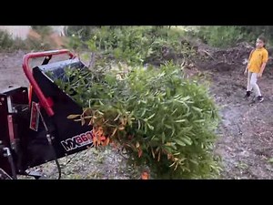 Wood Maxx 8600 chipping oak