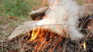 Blazing fire in the wilderness a symbol of warmth and danger