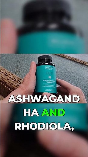 Wellpath Zen Actually Works (But Here's the Catch) #stressrelief #review