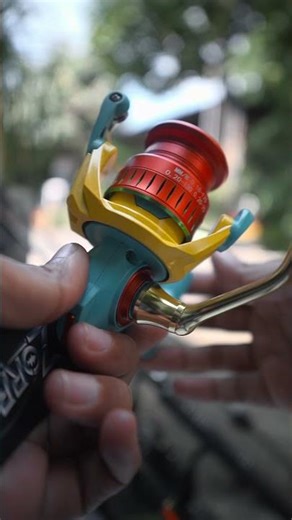 Sure, later? It's gone! Zorro Candy SW fishing reel.