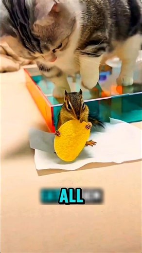 The Smartest Squirrel You’ll See Today 🐿️