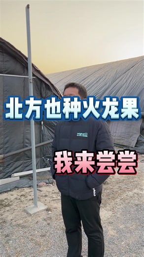 北方也种火龙果，我来尝尝！#greenhouse #ledgrowlight #growlightsetup #growlights #植物補光燈