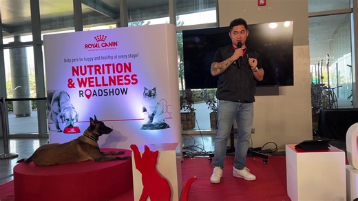 11K views · 415 reactions | A clip from today’s dog training seminar at SM Seaside City Cebu (Official) brought to you by Royal Canin See you again tomorrow  | Dog Trainer Cebu | Facebook