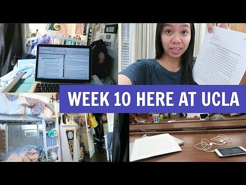 How I Write a 12 Page Essay in One Night! Week 10 at UCLA! #StudentStruggles